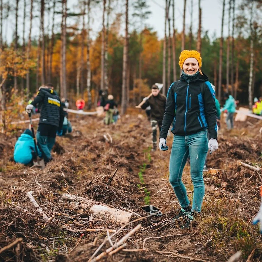 Planting trees in Lipusz forest (2).jpg